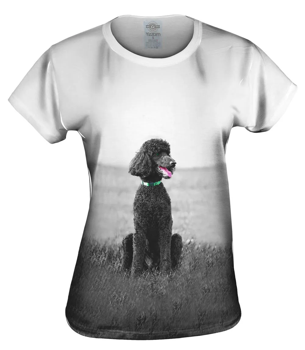 50S Poodle