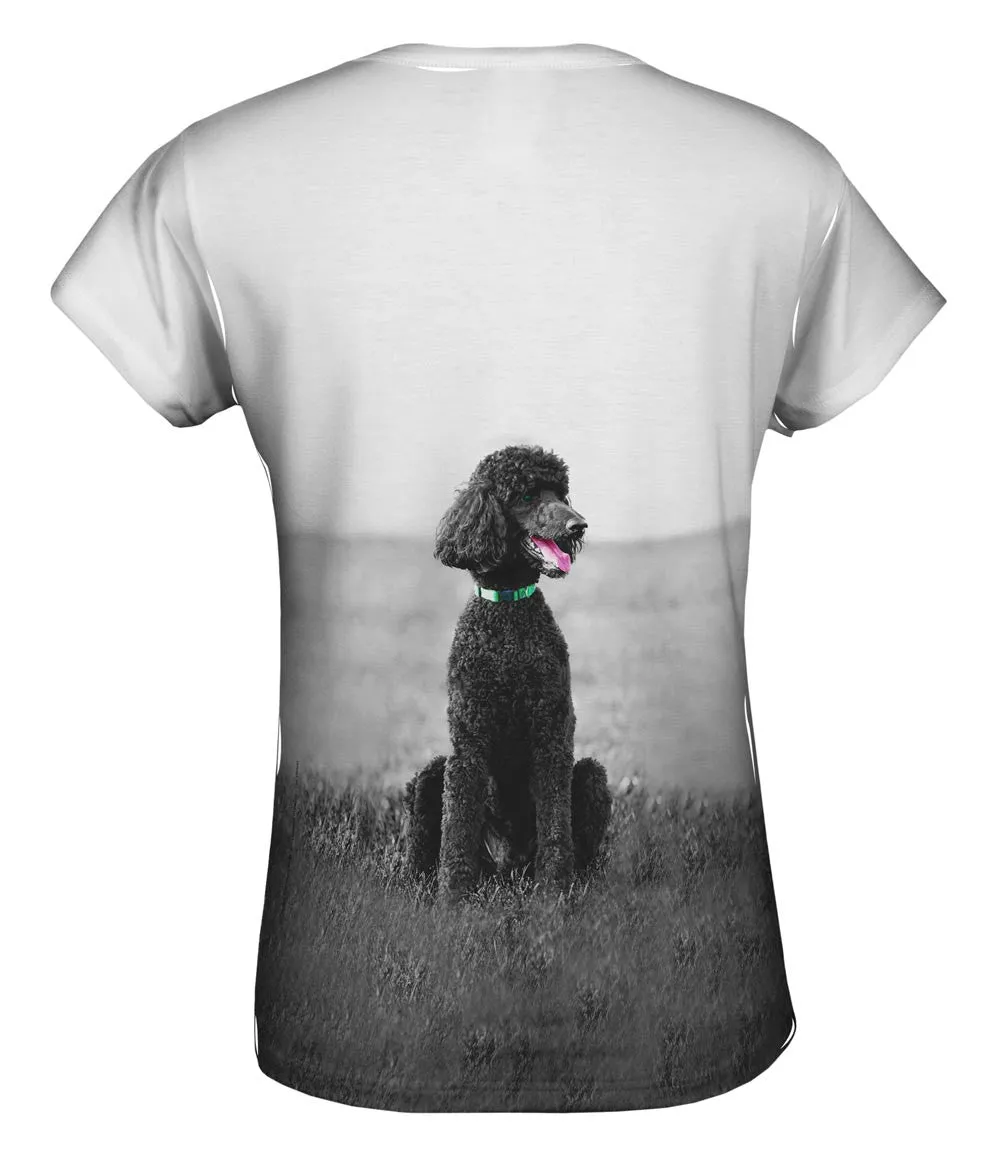 50S Poodle