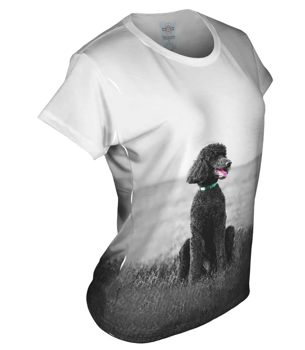 50S Poodle