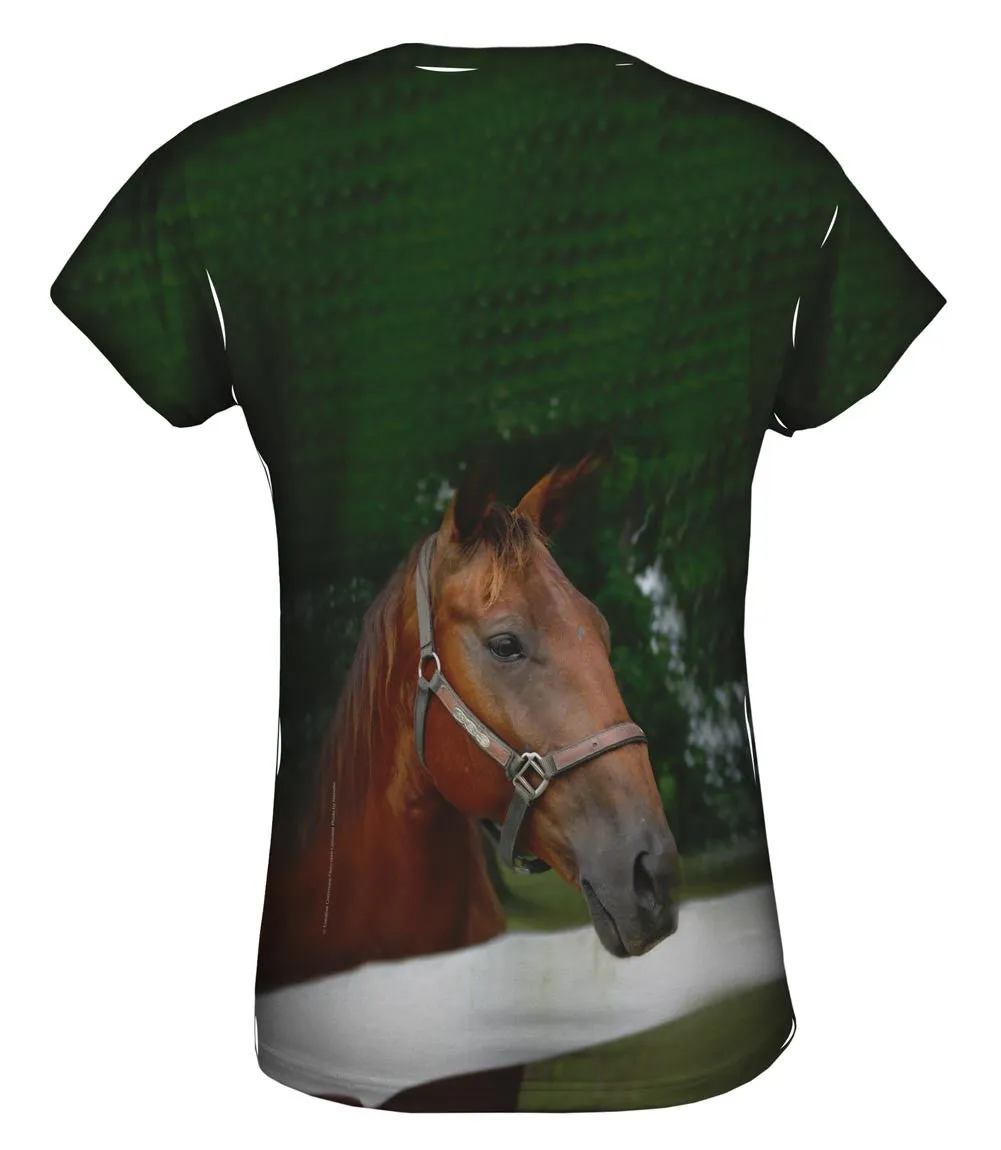 All Knowing Horse
