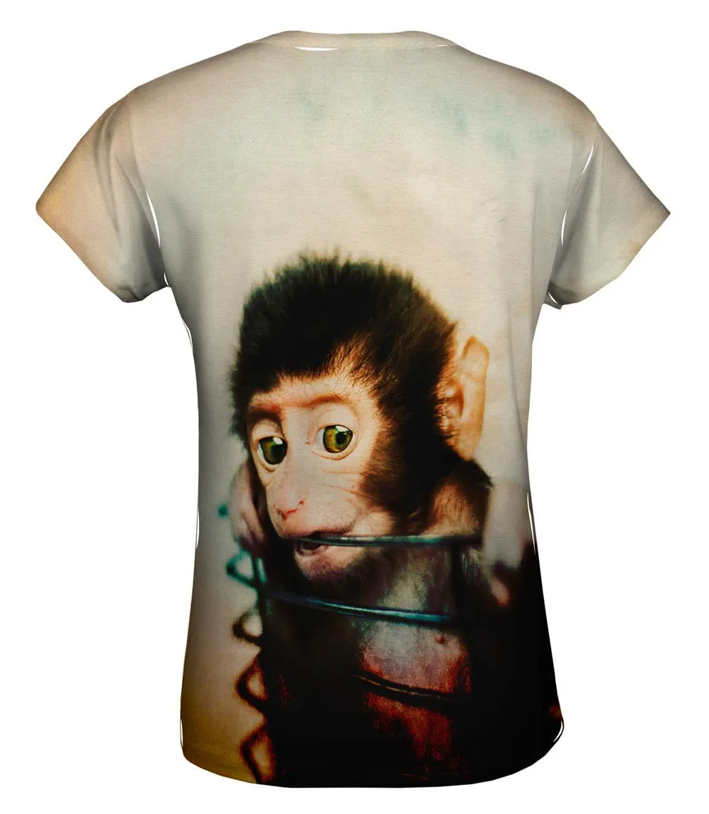 Basket Baby Monkey