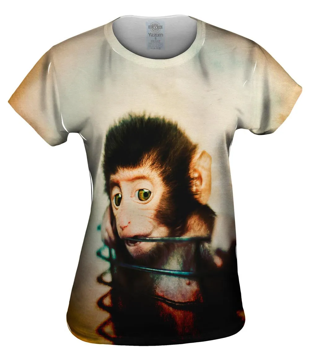 Basket Baby Monkey