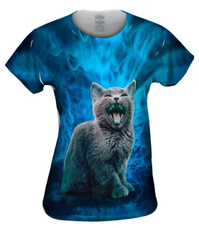 Blue Demon Kitten