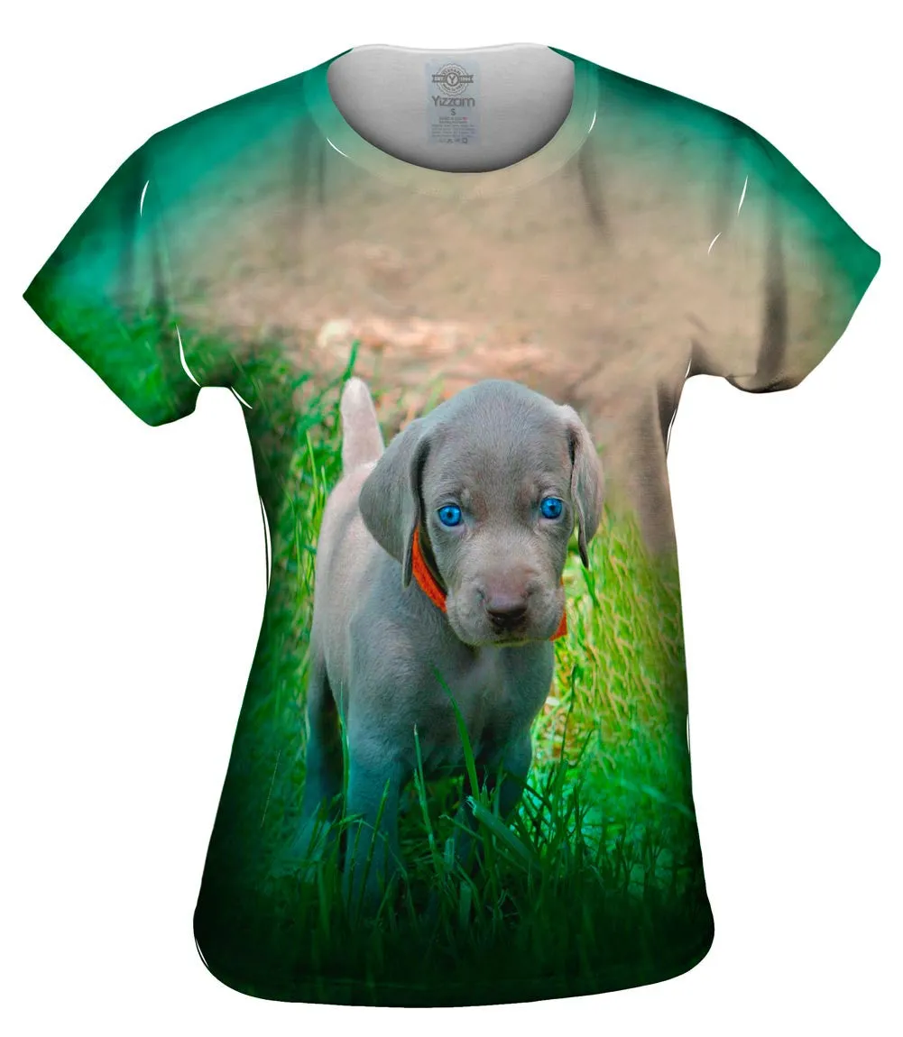 Blue Eye Puppy