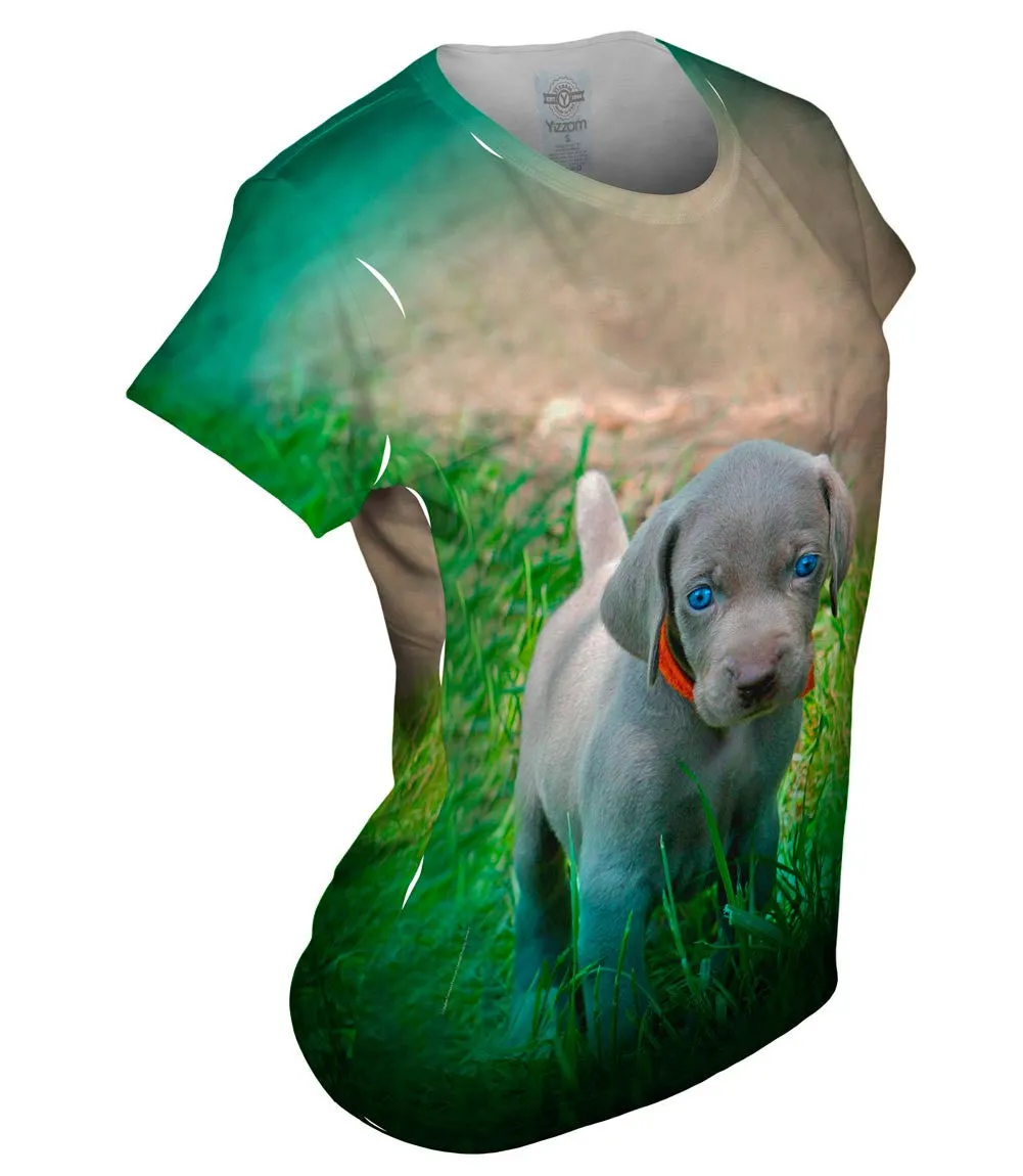 Blue Eye Puppy
