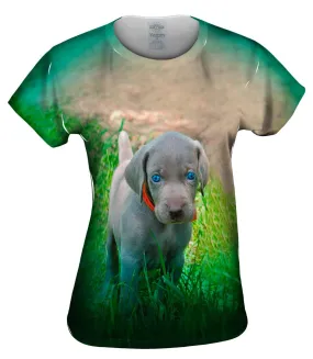 Blue Eye Puppy