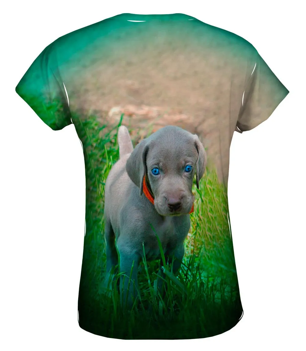 Blue Eye Puppy