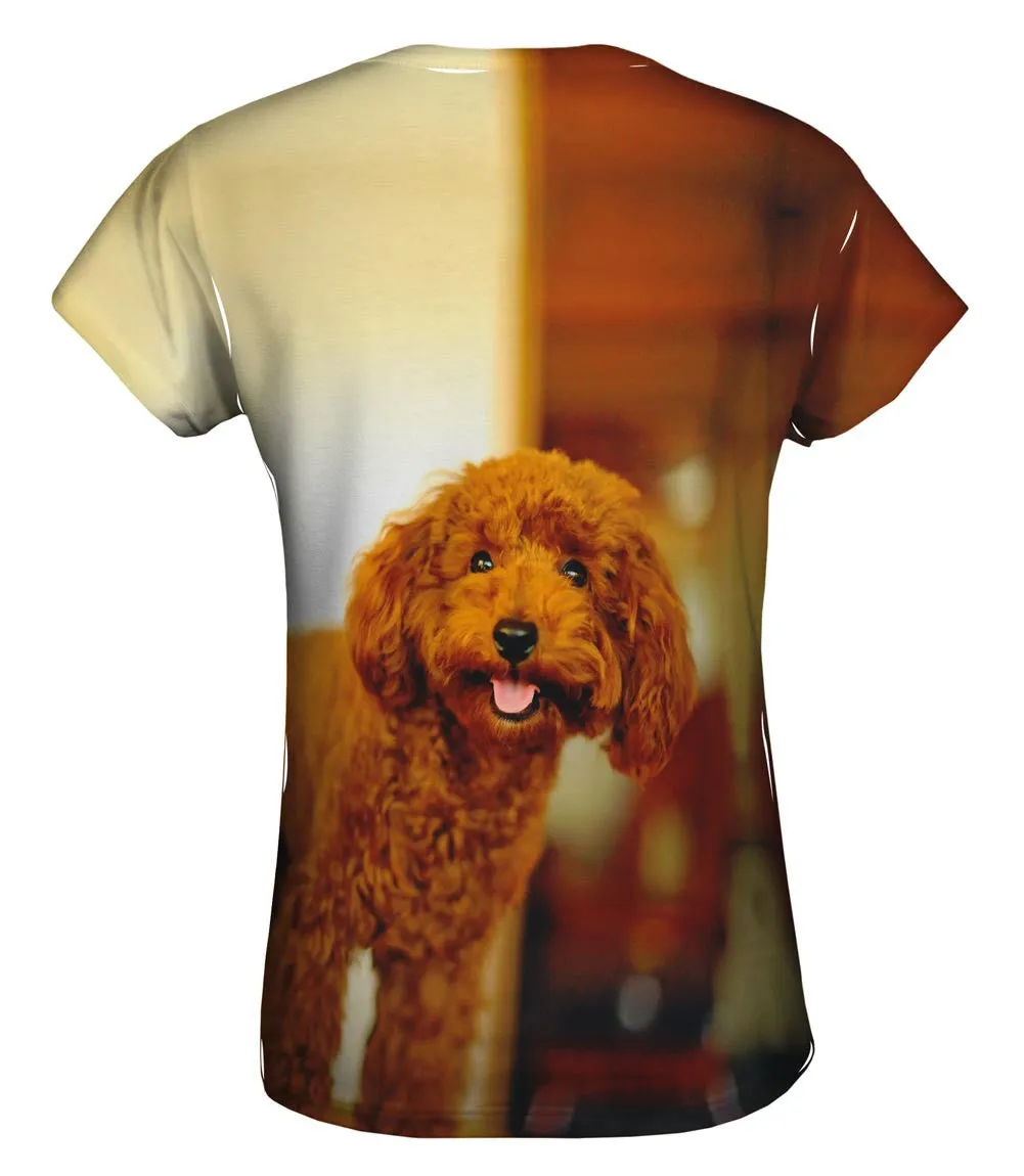 Brown Poodle Loves Life