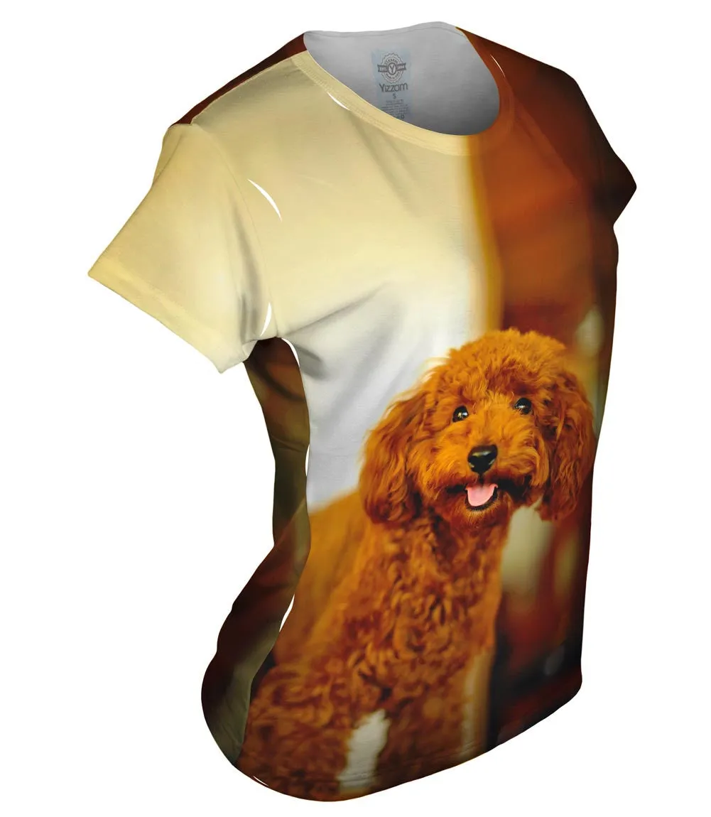 Brown Poodle Loves Life