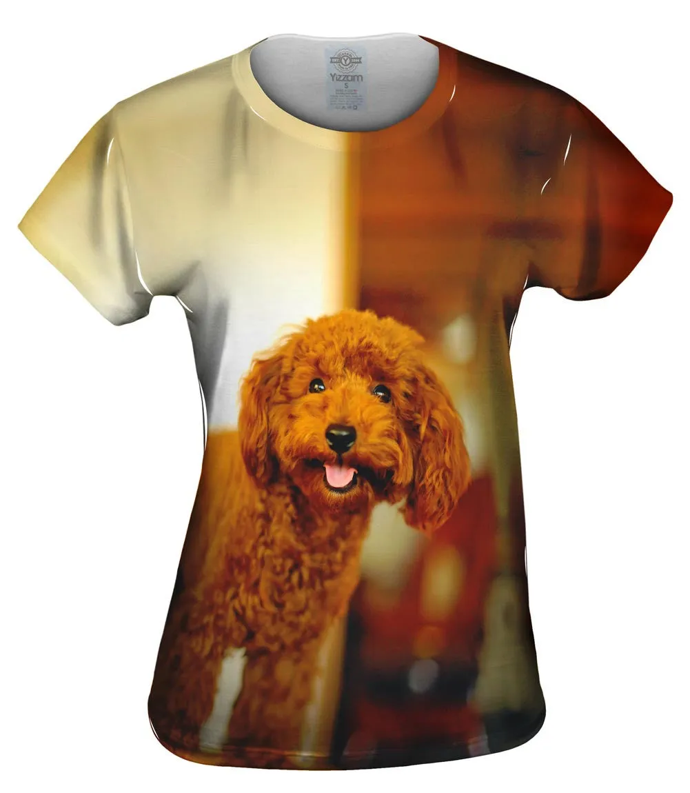 Brown Poodle Loves Life