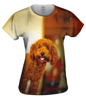 Brown Poodle Loves Life