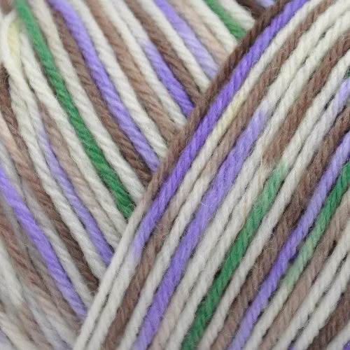 Brown Sheep Wildfoote Luxury Sock